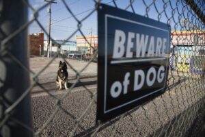 dog bite lawyer in Waterbury, CT