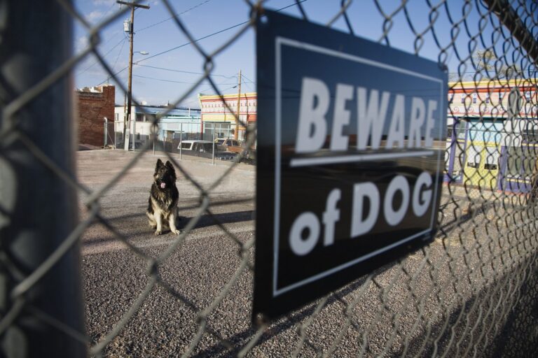 dog bite lawyer Waterbury, CT